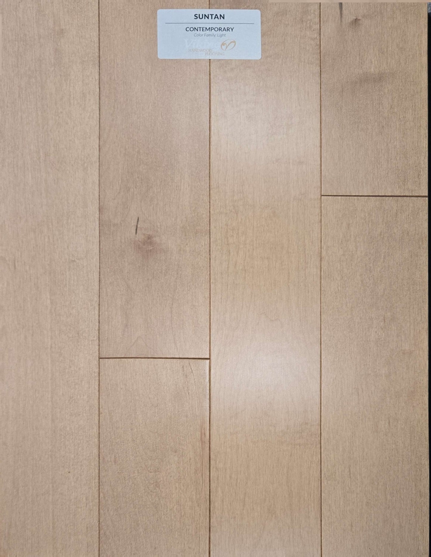Contemporary 'North American Hard Maple' (Case)